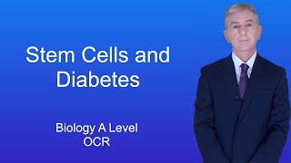 A Level Biology Revision Year 13 quotStem Cells and Diabetesquot [upl. by Twum375]