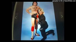 WCW Tully Blanchard And Perfect 10 Promo ThemequotDontLetHimGoquot [upl. by Yelknirb238]