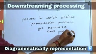 Downstream processing in hindi ll biology ll [upl. by Domph]