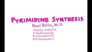 Pyrimidine Synthesis  CRASH Medical Review Series [upl. by Nylinnej]