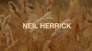 Neil Herrick Meadowlands Part  TransWorld SKATEboarding [upl. by Arsuy]