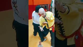 kungfu selfdefense kungfu martialarts karate judo taekwondo wushufight funny wushu kravmaga [upl. by Pulcheria]