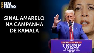 Trump lota Madison Square Garden e acende sinal amarelo na campanha de Kamala [upl. by Keslie]