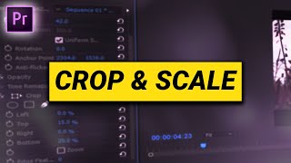 How to CROP amp SCALE Premiere Pro Tutorial [upl. by Ilarin]