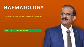 Anaemia Part 3 Differential diagnosis of common anaemias [upl. by Aneet277]