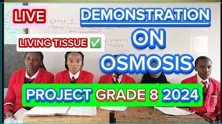 How To Demonstrate Osmosis In Living TissuesScience Grade 8 Project 2024 [upl. by Aelyak]