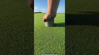 How to set golf ground facts experiment science scienceexperiments physics chemistry shorts [upl. by Yngiram850]