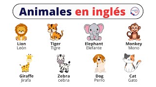 Animales en inglés [upl. by Yebloc]