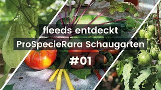 ProSpecieRara Schaugewächshaus Reusspark  fleeds Gartenbesuch 1 [upl. by Adebayo]