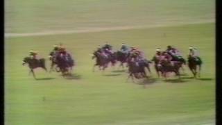 1976 2000 Guineas Stakes [upl. by Akirdnahs127]