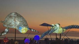 Lantern Festival 2023 Elise Witman Realtor 8432476772 Hilton Head Events Coligny Beach Amazing [upl. by Annabal]