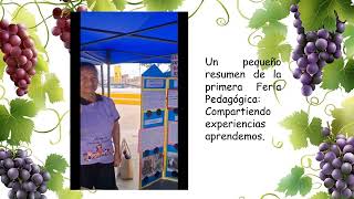 Video de proyecto Feria pedagogica San Franciscano FINAL [upl. by Htiekram]