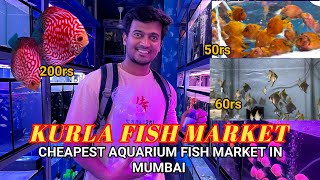 Kurla fish market  cheapest aquarium fish market in Mumbai  1k mumbai aquariumfish fish [upl. by Ahsinehs]