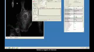 Using a QImaging Rolera EMC2 EMCCD Camera in Micro Manager Software [upl. by Wald496]