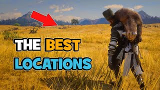 The Best Locations in Red Dead Online for Camp and Moonshiner Shack [upl. by Nylyaj545]