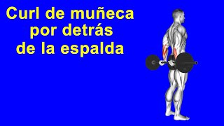 Ejercita el antebrazo con la rutina curl de muñeca por detrás de la espalda [upl. by Alicea]