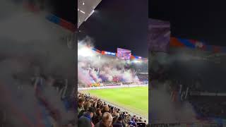 FC Basel at home against FC Winterthur02112024 ultras football fcbasel muttenzerkurve [upl. by Crysta995]