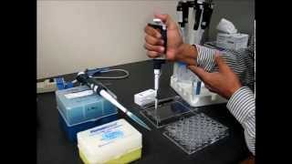 Hanging Drop Protein Crystallization Setup Tutorial and Demonstration [upl. by Adiana]