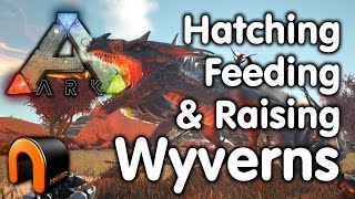 Ark Wyverns  How to Hatch Feed amp Raise Wyvens [upl. by Boyes]