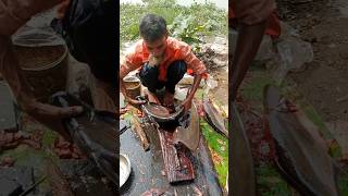 Wow Traditional Pangas Fish Cutting Skills In Expert Cutter 😳😱 Part 561 shorts [upl. by Moise]