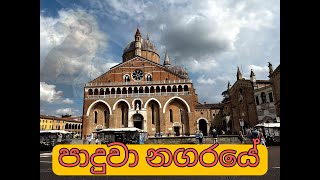 පාදුවා නගරයේ  Paduwa nagaraye  Sinhala hymn [upl. by Bobbie]