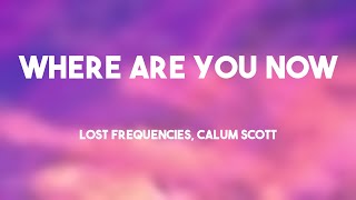 Where Are You Now  Lost Frequencies Calum Scott Lyrics 🥂 [upl. by Dolli]