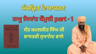 lagu sedant kaumdi part  1 sant kamaljit singh ji sashtri sukhanand wale [upl. by Airdni]