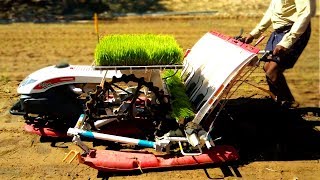 Yanmar rice plant transplanter TRACTOR  Technology Rice Transplantation machine tractor [upl. by Harolda]