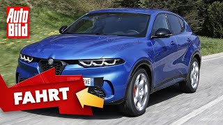 Alfa Romeo Tonale 2022  Für einen echten Alfa reicht das nicht  mit Malte Büttner [upl. by Emlin498]