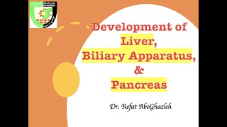 Development of Liver Biliary Apparatus amp Pancreas [upl. by Anah]