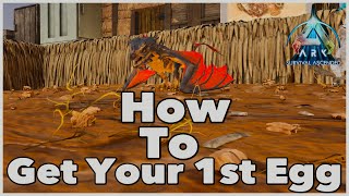 How To Get A Wyvern Egg With An ARGENTAVIS Earlygame ARK [upl. by Yehudit]