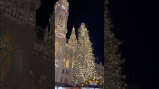 Vienna 🎄 christmas trip winter christmas wien wienerprater holiday desert citylifevlog [upl. by Nosecyrb270]