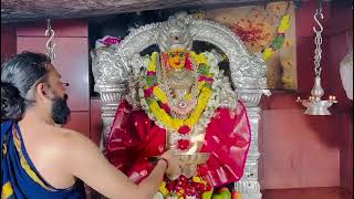 Sri edupayala vana durga bhavani ammavari puja alankarna harat video 22112024 edupayala madak🙏🙏🙏 [upl. by Essilevi]