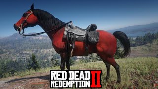 Red Arabian Horse locations  Red Dead Redemption 2 Story mode [upl. by Odlanor]