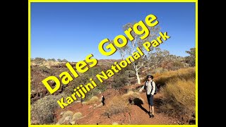 Dales Gorge Karijini National Park [upl. by Alitta]