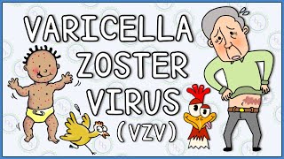 Varicella zoster virus Chicken Pox and Shingles herpes zoster [upl. by Hallock]