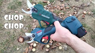 Parkside Cordless Pruning Shears PAAS 20Li A1 vs Bosch 12V Pro Pruner [upl. by Son]