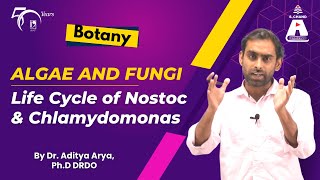 Algae and Fungi  Life Cycle of Nostoc and Chlamydomonas  Botany  S Chand Academy [upl. by Nosreve215]