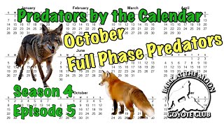 Predators by the Calendar EP 5 [upl. by Hnim]