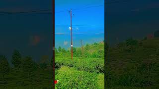 darjeelingtour kurseong travel travelvlog traveling viralvideo trending trendingshorts [upl. by Llerrej]