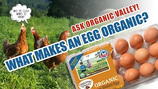 Organic Eggs  Ask Organic Valley [upl. by Augusta]