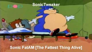 SonicTweaker  Sonic FatAM  The Fattest Thing Alive [upl. by Moffit]