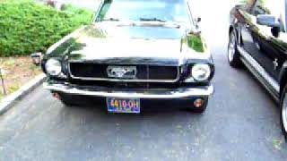 66 mustang fastback [upl. by Rasia]