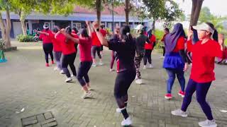 SENAM AEROBIC BALAI DESA [upl. by Morgen509]