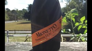 Wine Review Mionetto Prosecco Brut  TheWineStalkernet [upl. by Etteraj]