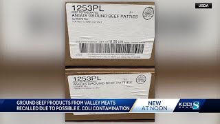 Thousands of pounds of ground beef recalled due to possible E coli contamination [upl. by Sig]