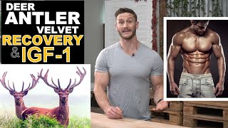 Does Deer Antler Velvet Speed Recovery IGF1 and Human Growth Hormone  Thomas DeLauer [upl. by Aihtnamas]