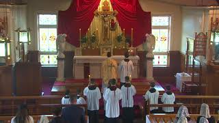 SSPXNZLIVE  Trinity Sunday  26th May  Sung Mass [upl. by Sahpec]