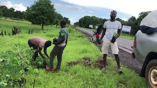 Seedlings Delivery [upl. by Leandre]