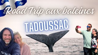 Nous avons vu plusieurs baleines  Roadtrip à Tadoussac au Québec [upl. by Johnstone]